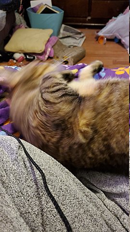 Cause 4 Stamp Act (1765-1766)