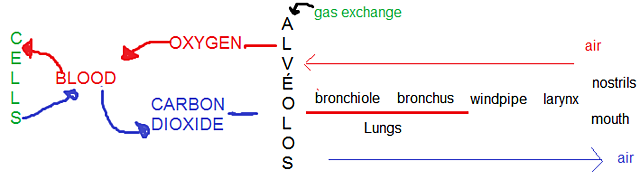 Breathing (clase 3(parte3))