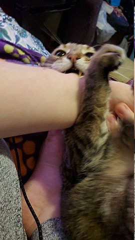 Cause 1 French and Indian War (1754-1763)