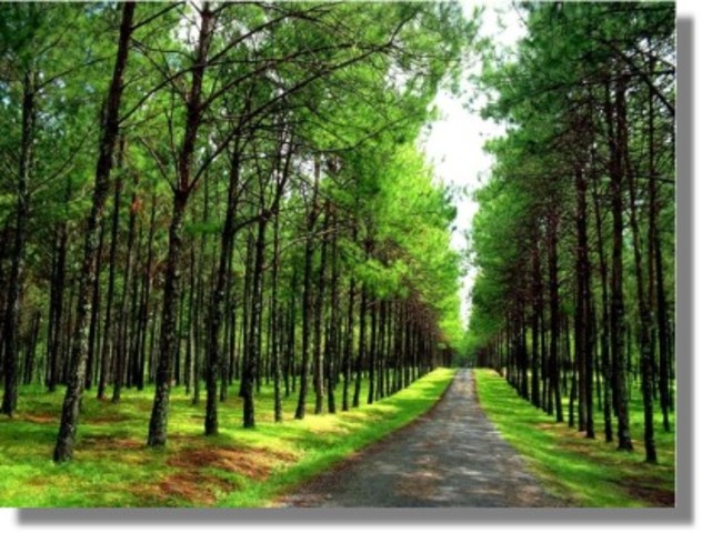 Llegué al 3-8 (: Un nuevo cami´no!