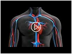 clase del día lunes 19 de octubre