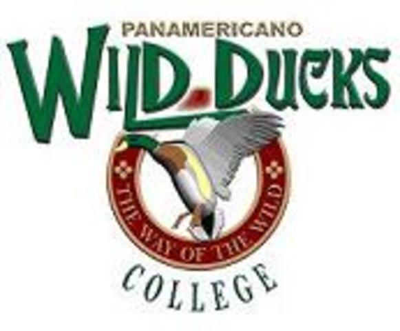 Entré a la primaria en el colegio ¨Panamericano" Texcoco