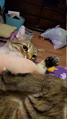 Cause 7 Boston Massacre (1770)