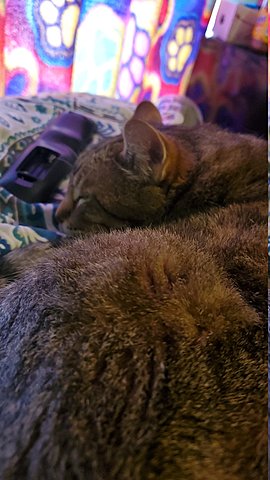 Cause 5 Quartering Act (1765-1770)