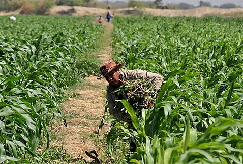 En la presidencia de Salinas