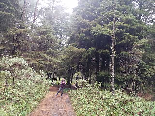 Fuimos al monte y cumplí 18 años