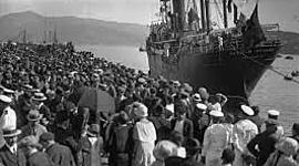 Timeline: hablemos de migración