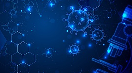 Timeline: Actividades Cuarto Periodo