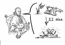 SIGLO XVII (1667). Receta para la creación de la vida