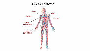 clase del día 13 de Octubre