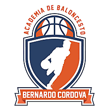 futuro de la academia de baloncesto