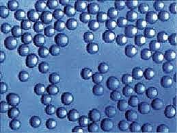 SIGLO XX ( 1972 ). Micro esferas protenoides