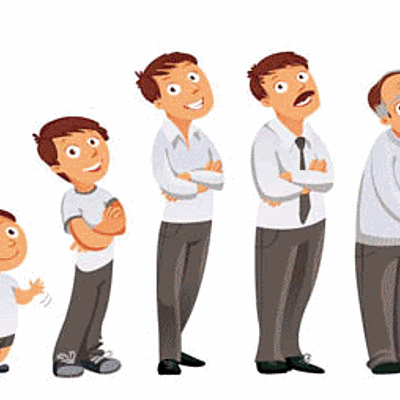 Timeline: linea de vida