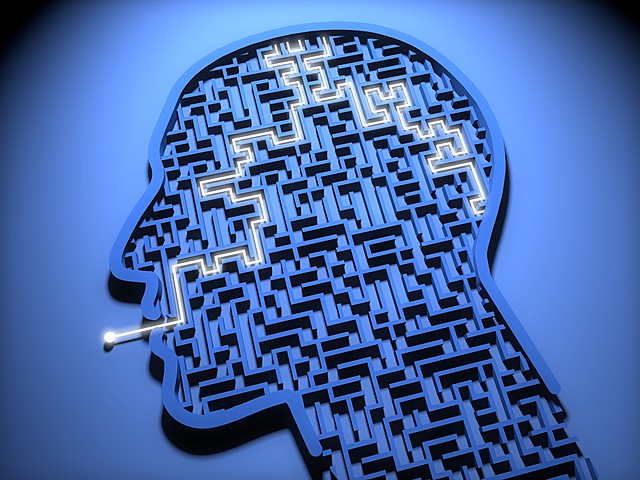 Psicología cognitiva