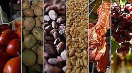 Timeline: ALIMENTACIÓN EN AMÉRICA HASTA LA ÉPOCA MODERNA