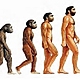 Evolucion