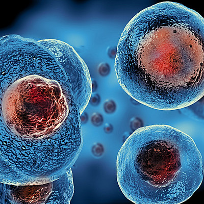 Timeline: Historia de la Clonación