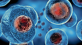 Timeline: Historia de la Clonación