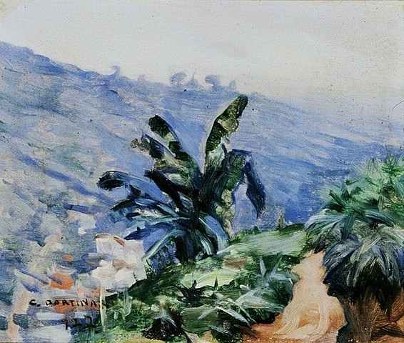 "Paisagem com Bananeiras"