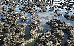 Hadico 3500 Presencia la vida