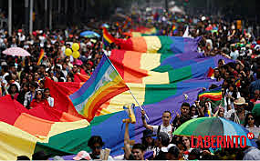 Movimiento Lésbico Gay