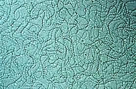 Proterozoico 2400 Ma