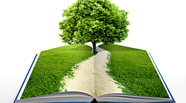 Timeline: HISTORIA DE LA EDUCACION