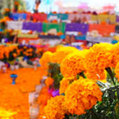 Timeline: Día de Muertos Parte 2