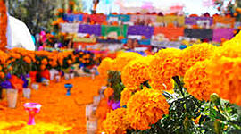 Timeline: Día de Muertos Parte 2