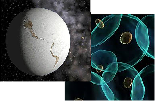 Proterozoico: Surgimiento de Eucariontes/ Criogénico 720~630 Ma