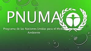 PNUMA