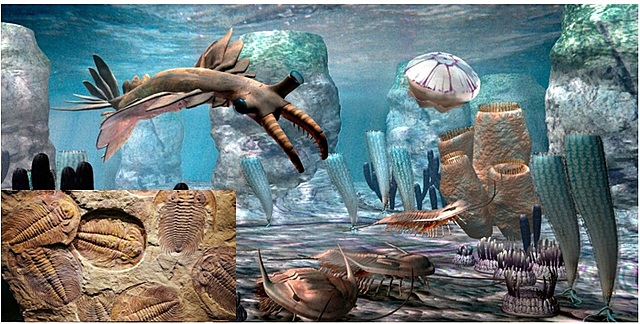 Cambrico 541 Ma~485.4 Ma