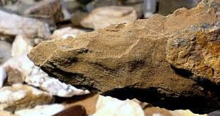 Ciencia: Se hayan herramientas de piedra de 2,1 millones de años en yacimiento chino