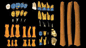 Ciencia: investigadores de Filipinas desvelaron fosiles del Homo luzonensis