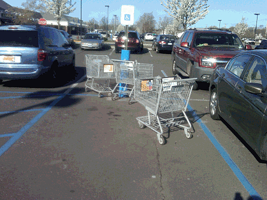 Not Returning Shopping Carts