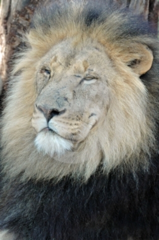 decimo octavo evento