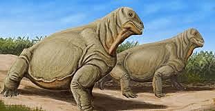 Permico/ Gran Mortandad 298 Ma~ 251 Ma