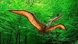 Triásico/ Gran especiacion 251 Ma`~201 Ma