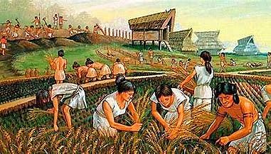 la agricultura y laa ganaderia