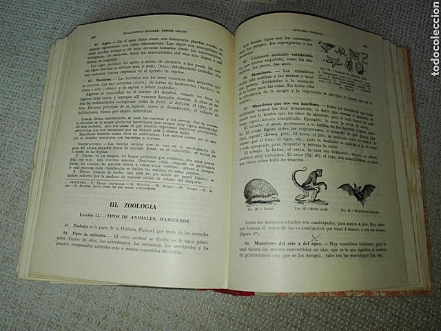 1 edición da enciclopedia