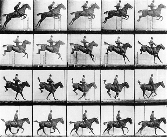Muybridge y el galope de un caballo