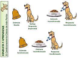 Condicionamiento Clasico