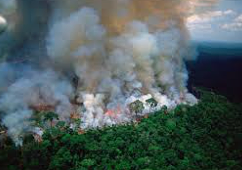 The Amazon is on Fire