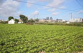 México se volvió un país predominante rural