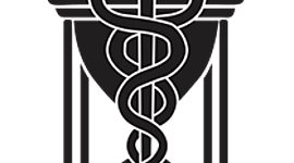 Timeline: História Geral