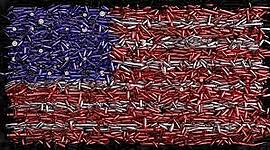 Timeline: l'uso delle armi da fuoco in America