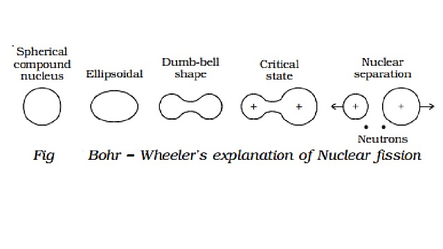 Work on atomic nuclei