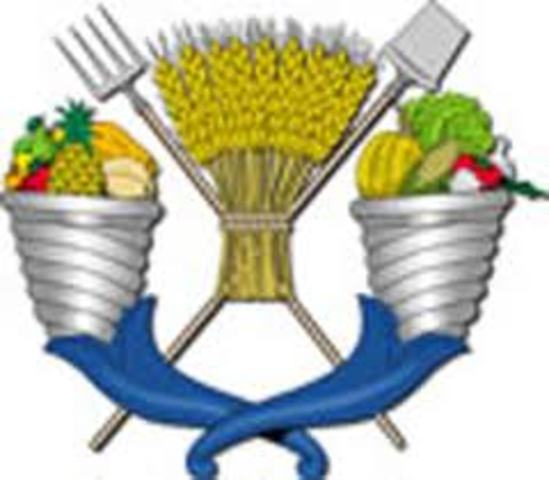 Ingreso a la UACH, me alejo de mi familia.