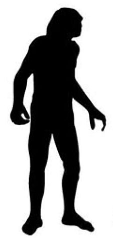 "On the Origin of Species  by Means of Natural Selection, or the Preservation of Favoured Races in the Struggle for Life"