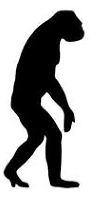 Galapagos Island's Finches